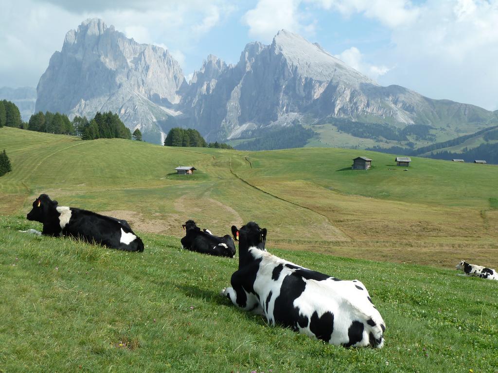 Garni La Majon Hotell Selva di Val Gardena Eksteriør bilde